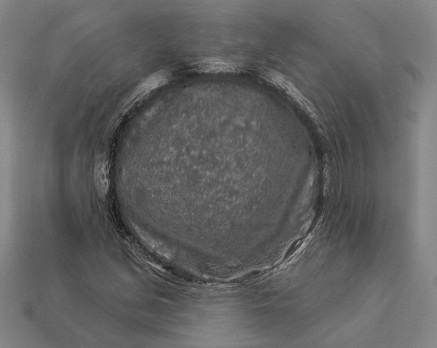 X0000112891213200909111457