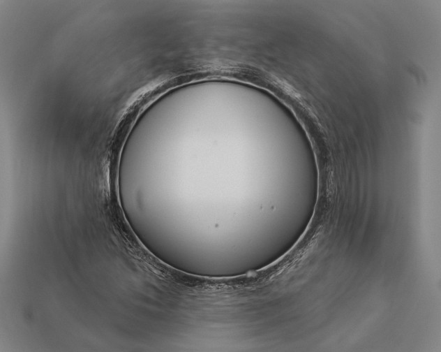 X0000112891214200909111457
