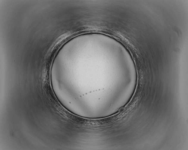 X0000112891215200909111457