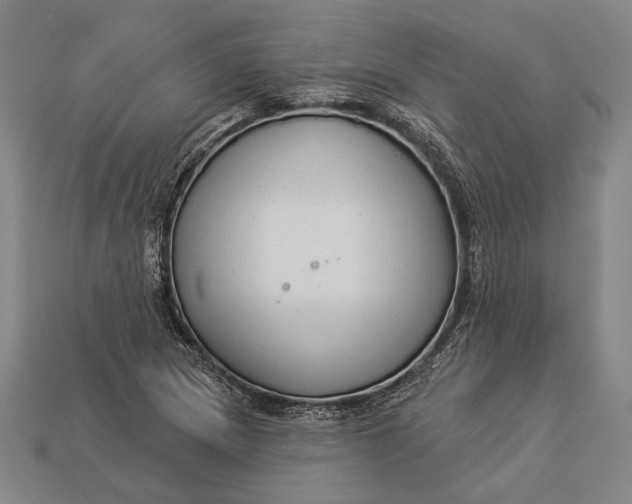 X0000112891217200909111457