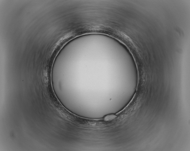 X0000112891218200909111457