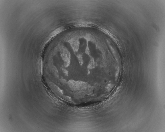 X0000112891219200909111457