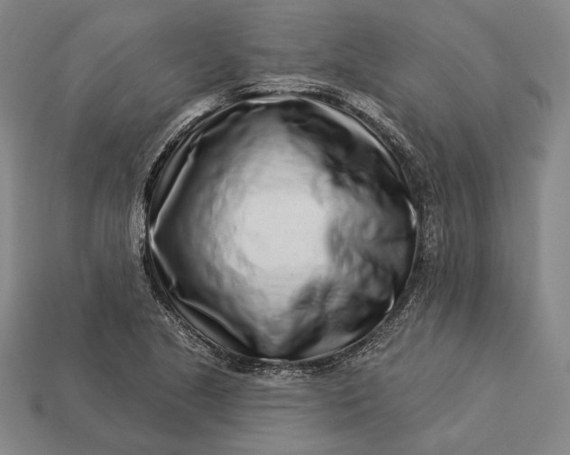 X0000112891221200909111457