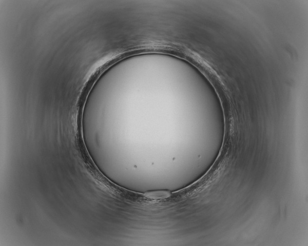 X0000112891222200909111457