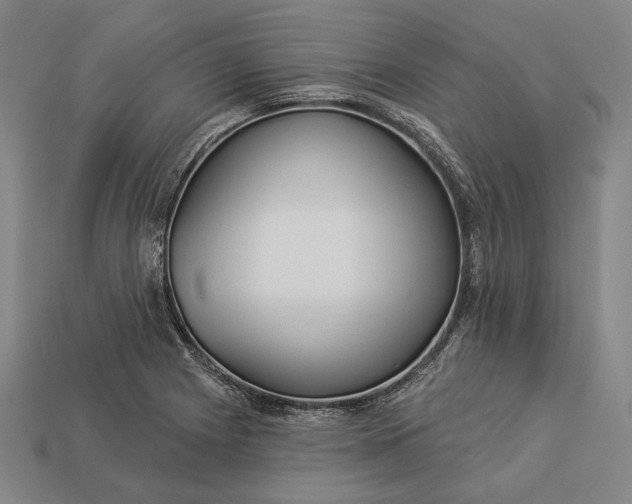 X0000112891225200909111457