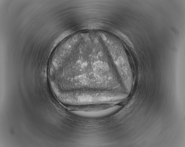 X0000112891226200909111457