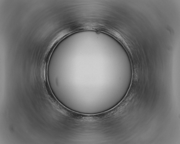 X0000112891227200909111457