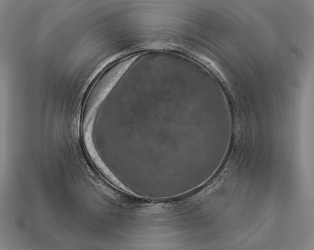 X0000112891228200909111457