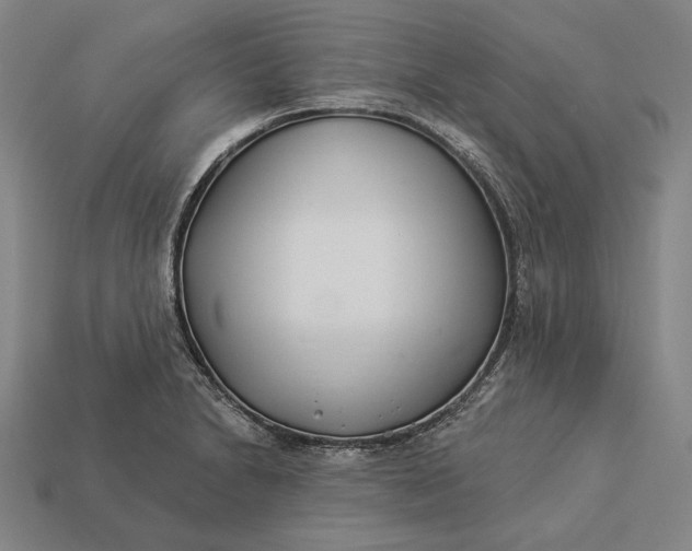 X0000112891230200909111457