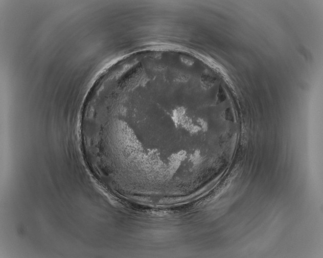 X0000112891231200909111457