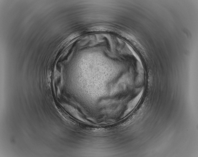X0000112891233200909111457