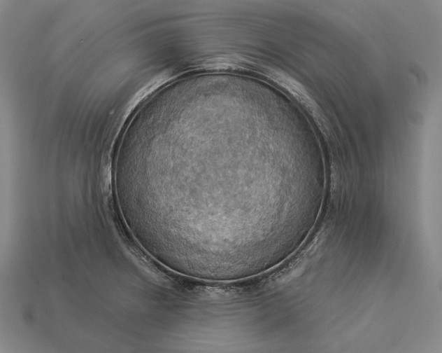 X0000112891234200909111457