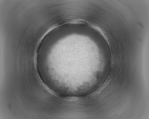 X0000112891235200909111457