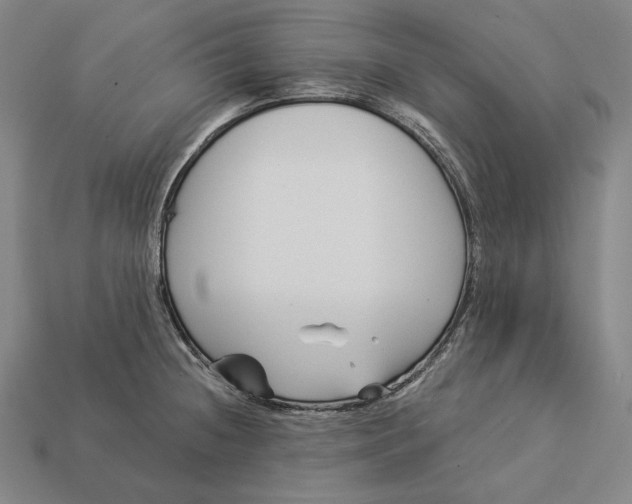 X0000112891236200909111457