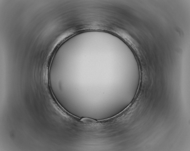 X0000112891238200909111457