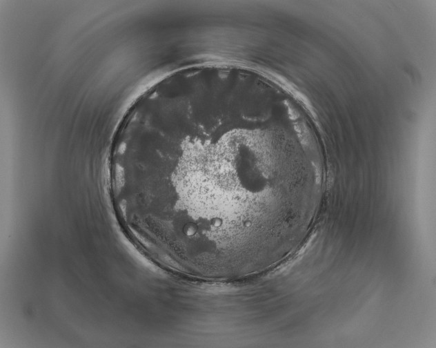 X0000112891239200909111457