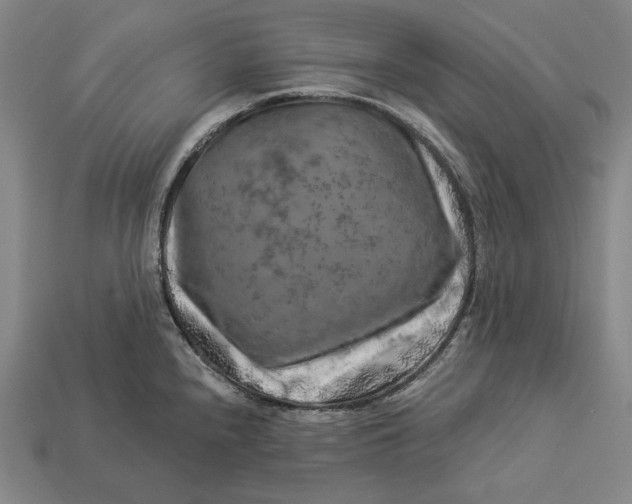 X0000112891240200909111457