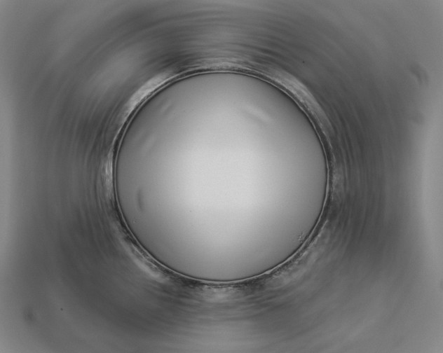 X0000112891242200909111458