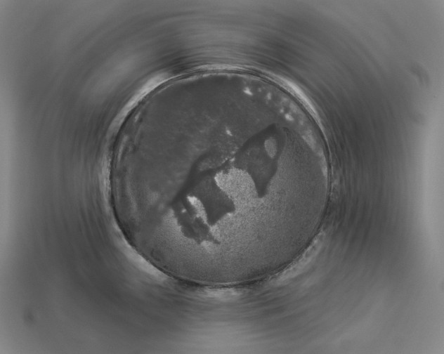 X0000112891243200909111458