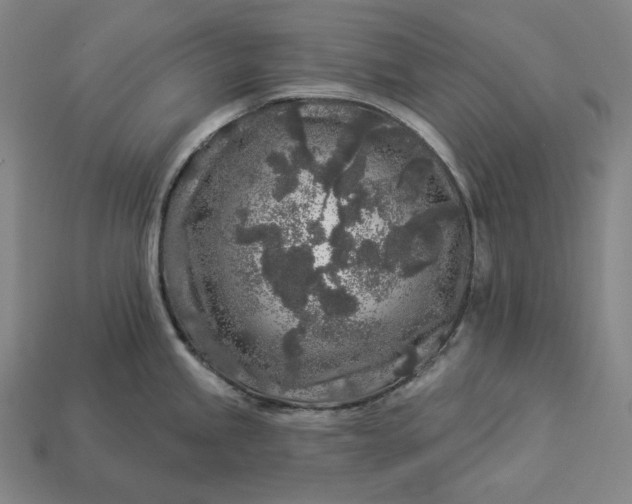X0000112891245200909111458