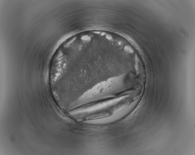 X0000112891246200909111458
