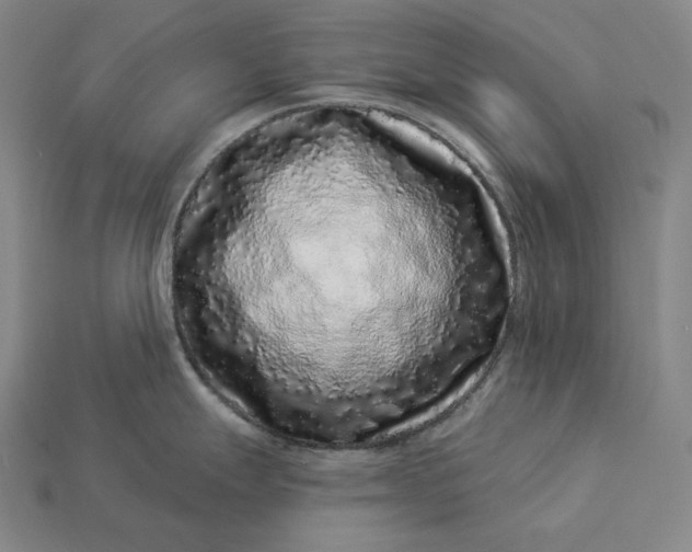 X0000112891247200909111458