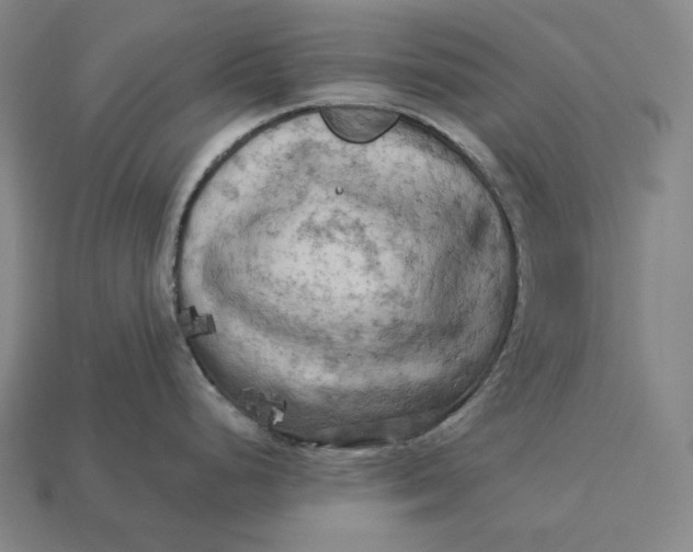 X0000112891248200909111458