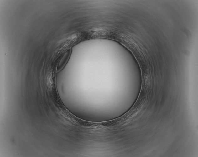 X0000112891250200909111457