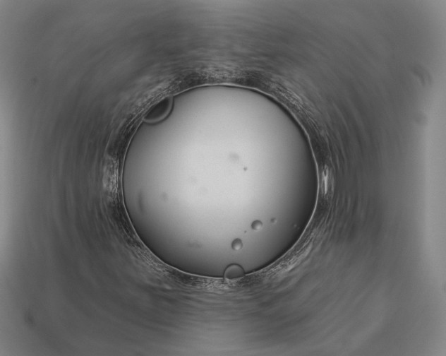 X0000112891251200909111457