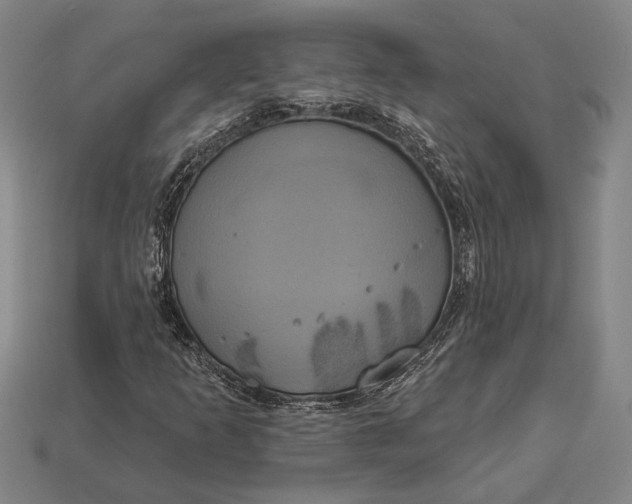 X0000112891253200909111457