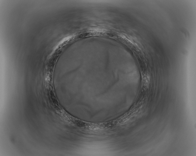 X0000112891254200909111457