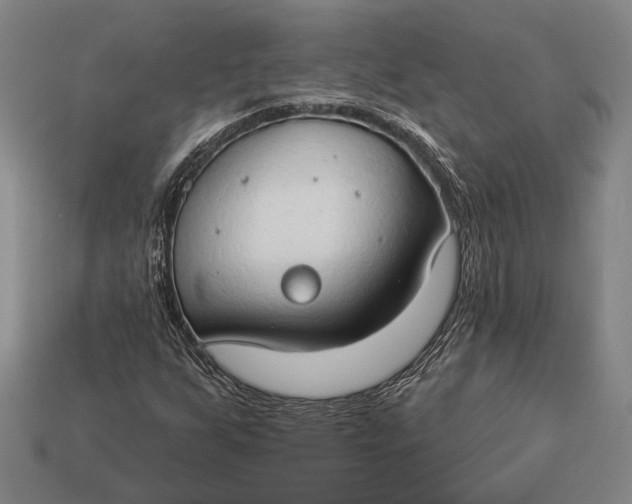X0000112891255200909111457