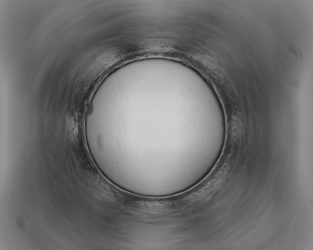 X0000112891257200909111457