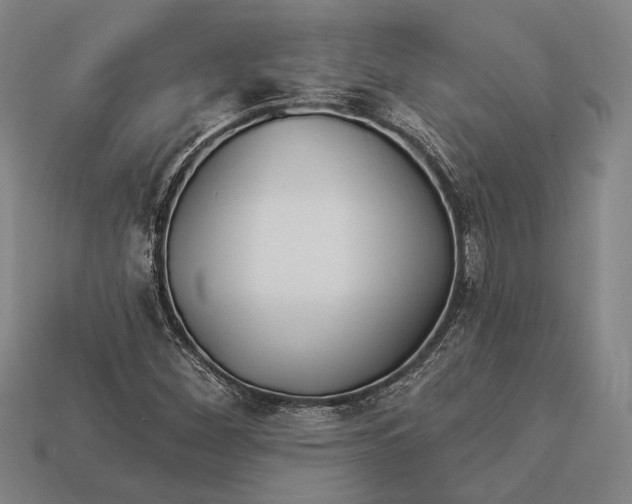 X0000112891260200909111457