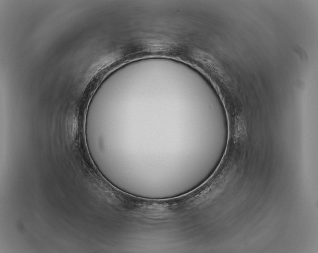 X0000112891261200909111457