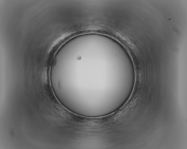 X0000112891262200909111457