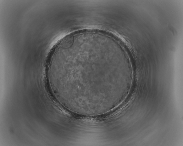 X0000112891263200909111457