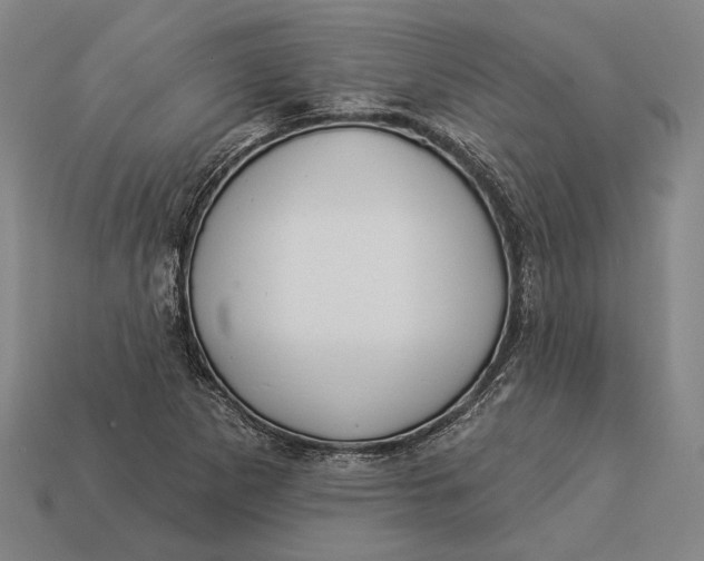 X0000112891265200909111457