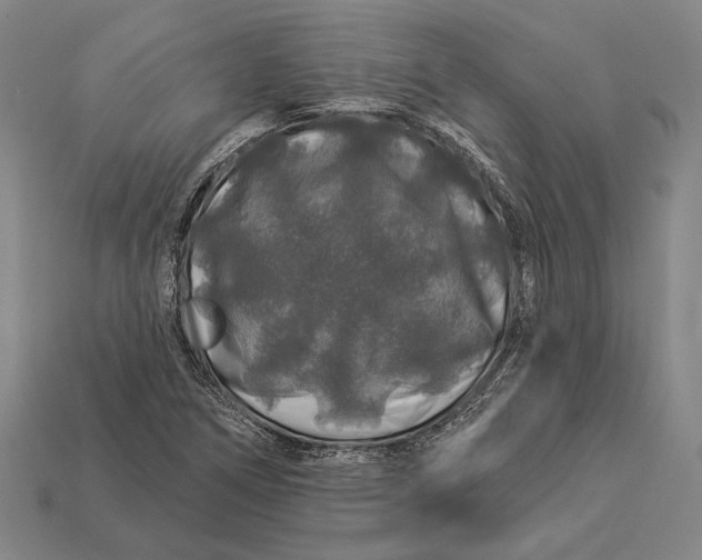 X0000112891266200909111457