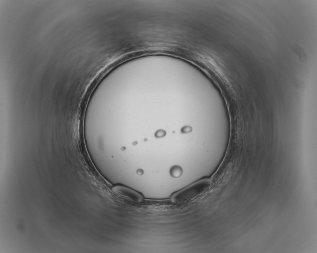 X0000112891268200909111457