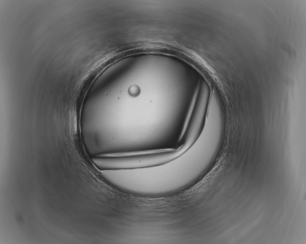 X0000112891269200909111457