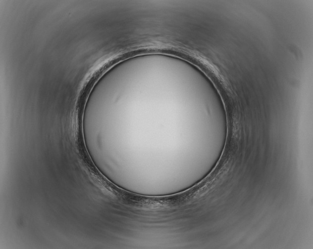 X0000112891270200909111457