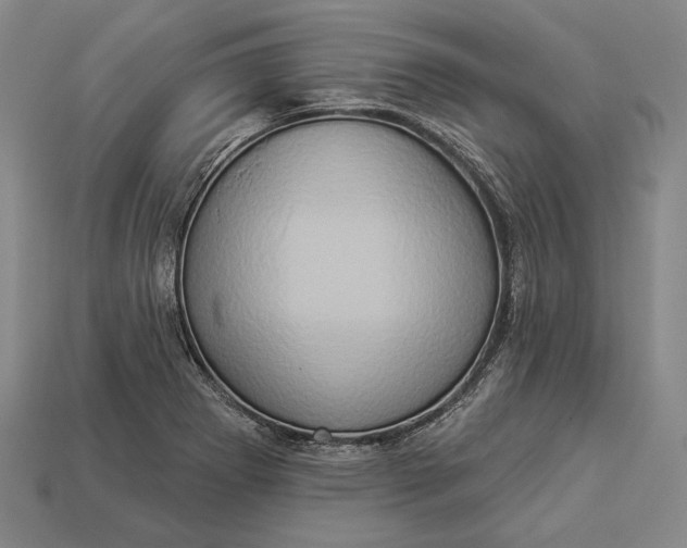 X0000112891273200909111457
