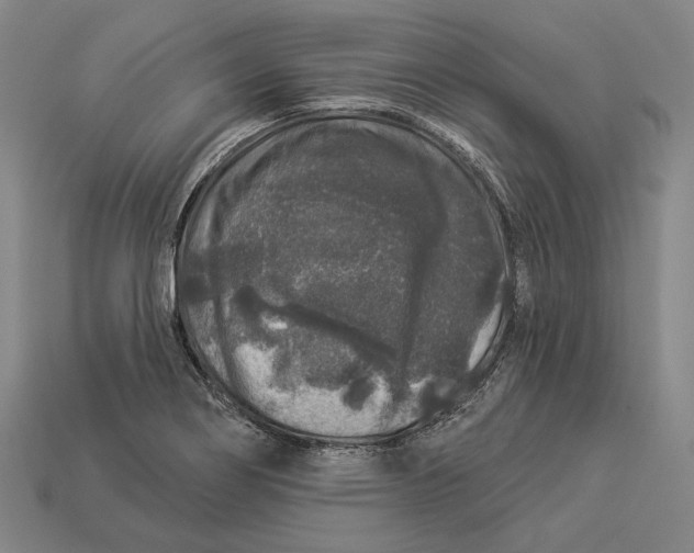 X0000112891274200909111457