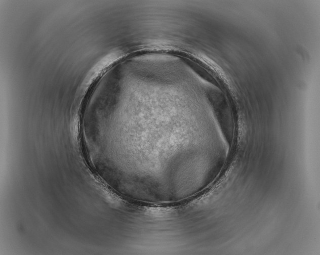 X0000112891277200909111457