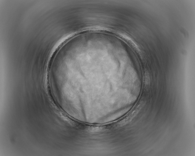 X0000112891278200909111457