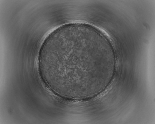 X0000112891279200909111457