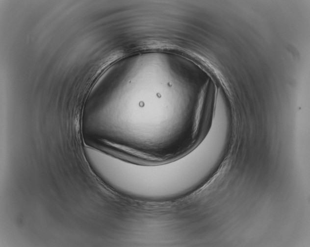 X0000112891281200909111457