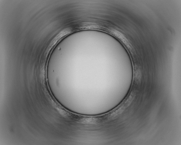 X0000112891282200909111457