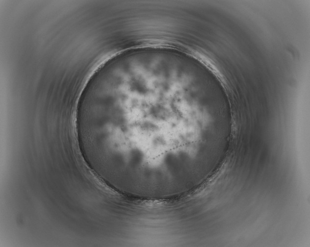 X0000112891283200909111457